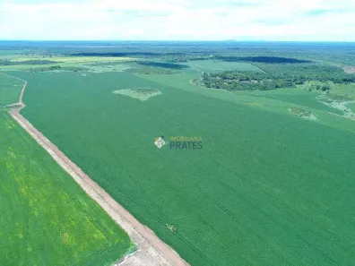 Fazenda/Sítio com 3 Quartos à venda, 13612500m² no , Peixe