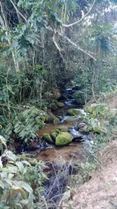 Fazenda/Sítio à venda, 352500m² no Brazópolis, Brazópolis