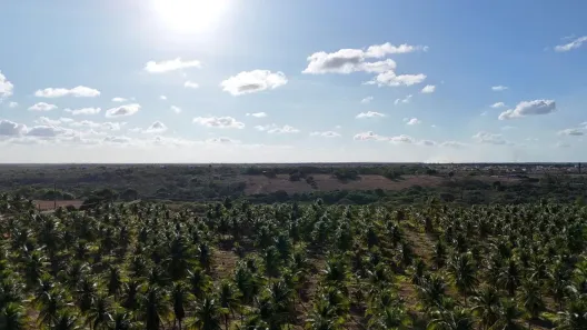 Lote/Terreno à venda, 300000m² no , São José de Mipibu