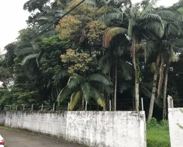 Lote/Terreno à venda, 3558m² no Centro, Joinville