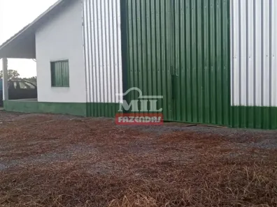 Fazenda/Sítio à venda, 500m² no , Natividade
