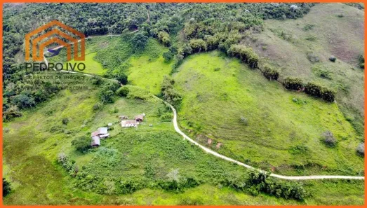 Fazenda/Sítio com 3 Quartos à venda, 150m² no , Lima Duarte