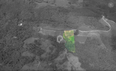 Lote/Terreno à venda, 20018m² no São Luiz do Purunã, Balsa Nova