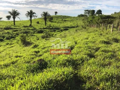 Fazenda/Sítio à venda, 500m² no , Baliza