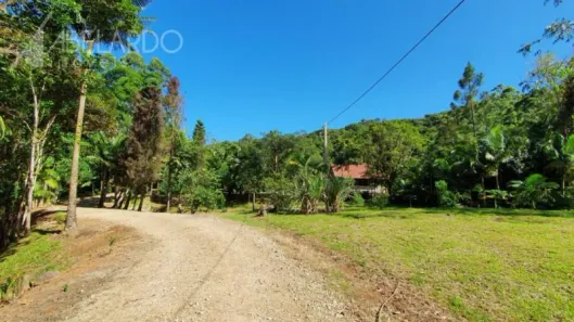 Fazenda/Sítio com 3 Quartos à venda, 100m² no Braço Francês, Luiz Alves