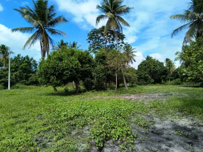 Lote/Terreno à venda, 392m² no Porto de Galinhas, Ipojuca