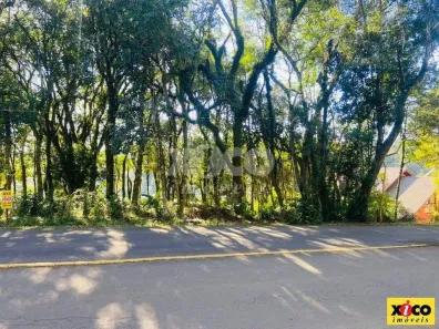 Lote/Terreno à venda, 405m² no Nova Petrópolis, Nova Petrópolis