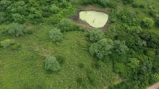 Fazenda/Sítio com 2 Quartos à venda, 1500000m² no , São Pedro