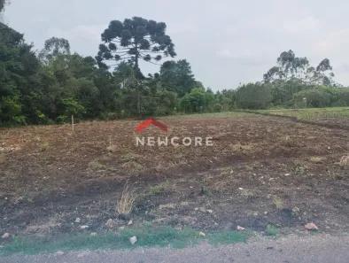 Fazenda/Sítio com 1 Quarto à venda, 12000m² no Colônia Murici, São José dos Pinhais