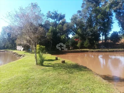 Fazenda/Sítio com 2 Quartos à venda, 81m² no , Garibaldi
