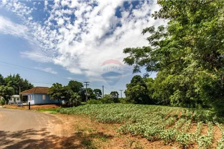 Fazenda/Sítio com 3 Quartos à venda, 120m² no , Ernestina