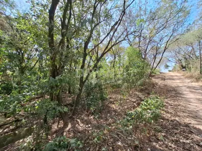 Lote/Terreno à venda, 1000m² no Chácara Santa Margarida, Campinas