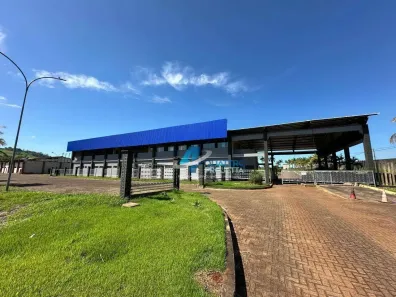 Galpão/Depósito/Armazém para alugar, 20000m² no Conjunto Habitacional Jamile Dequech, Londrina
