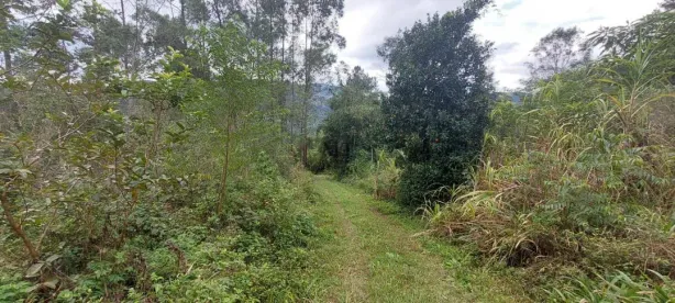 Lote/Terreno à venda, 20000m² no Dos Boêmios, Nova Petrópolis
