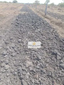 Fazenda/Sítio com 1 Quarto à venda, 129712000m² no Centro, Lagoa da Confusão