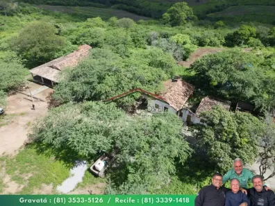 Fazenda/Sítio à venda, 1630000m² no Prado, Gravatá