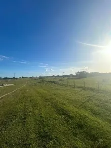 Fazenda/Sítio com 3 Quartos à venda, 100000m² no , Monte Alegre
