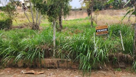 Lote/Terreno à venda, 336m² no Jardim das Paineiras, Campinas
