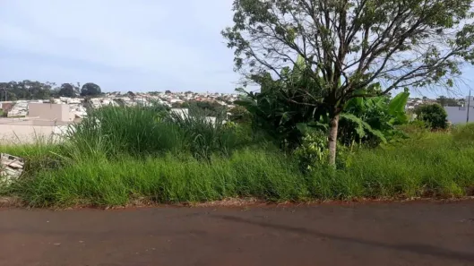 Lote/Terreno à venda, 335m² no Jardim Morumbi, Arapongas