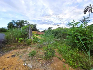 Lote/Terreno à venda, 3200m² no Ponta Negra, Manaus