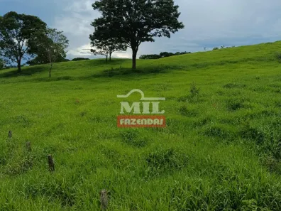 Fazenda/Sítio à venda, 1m² no , Anicuns