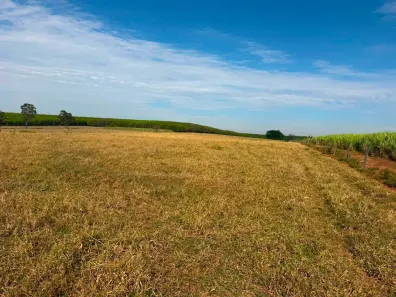 Fazenda/Sítio com 7 Quartos à venda, 1960200m² no Área Rural de Monte Aprazível, Monte Aprazível
