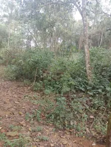 Lote/Terreno à venda, 1390m² no Luiz Fagundes, Mairiporã