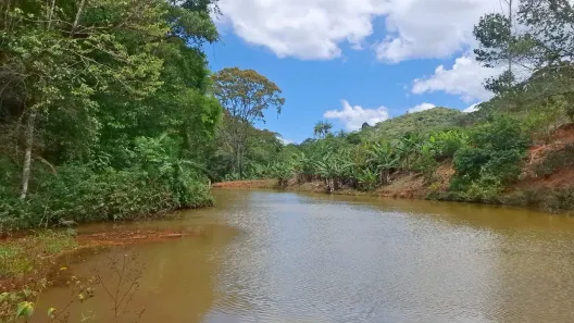 Fazenda/Sítio à venda, 39488m² no , Domingos Martins