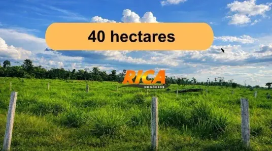 Fazenda/Sítio à venda, 400000m² no , Candeias do Jamari