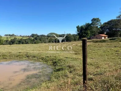 Fazenda/Sítio com 2 Quartos à venda, 1m² no Setor Central, Taquaral de Goiás