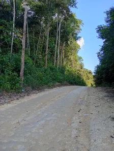 Fazenda/Sítio à venda, 237000m² no , Manaus