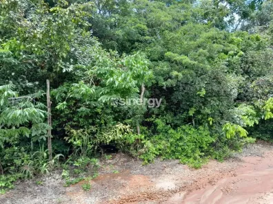 Lote/Terreno à venda, 1000m² no Pipa, Tibau do Sul