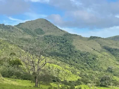 Fazenda/Sítio à venda, 1810000m² no Centro, Poços de Caldas