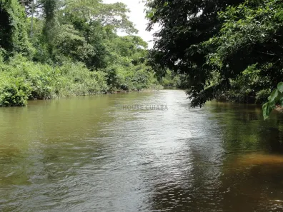 Fazenda/Sítio com 2 Quartos à venda, 120m² no Jardim Presidente, Cuiabá