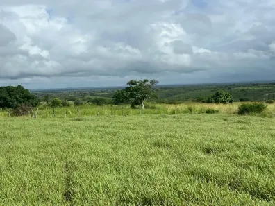 Fazenda/Sítio à venda, 1000m² no , Catu