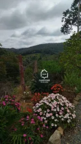 Fazenda/Sítio com 3 Quartos à venda, 140m² no Piedade, Piedade