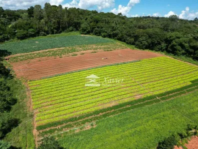 Fazenda/Sítio com 3 Quartos à venda, 280m² no Ibiúna, Ibiúna