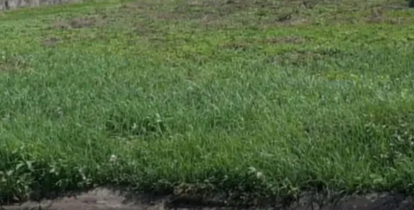 Lote/Terreno à venda, 450m² no Chácara Brasil, São Luís
