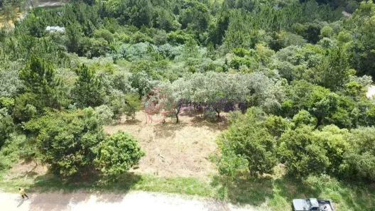 Lote/Terreno à venda, 1034m² no Maracanã, Jarinu