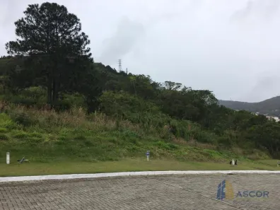 Lote/Terreno à venda, 525m² no Itacorubi, Florianópolis