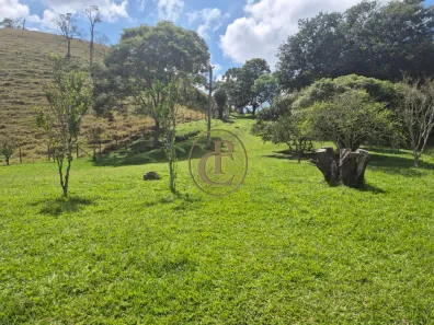 Fazenda/Sítio com 3 Quartos à venda, 150m² no Rio Claro, Paraibuna