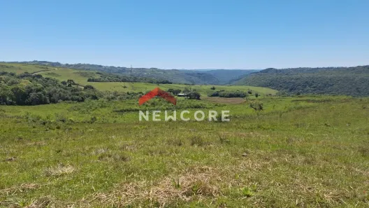 Fazenda/Sítio com 4 Quartos à venda, 350000m² no Criúva, Caxias do Sul
