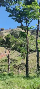 Lote/Terreno à venda, 63000m² no , Cambuí