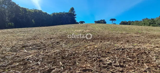 Fazenda/Sítio à venda, 96800m² no Centro, Araucária
