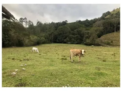 Fazenda/Sítio com 2 Quartos à venda, 124000m² no , Piracaia
