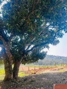 Fazenda/Sítio à venda, 500m² no Ressaca, Ibiúna