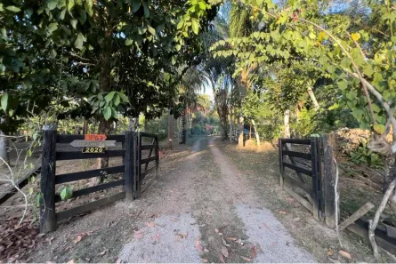 Fazenda/Sítio com 2 Quartos à venda, 6000m² no Rio Madeira, Porto Velho