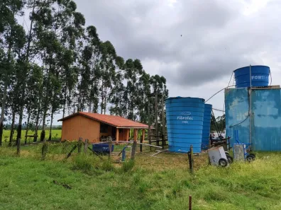 Fazenda/Sítio com 3 Quartos à venda, 150m² no , Pereiras