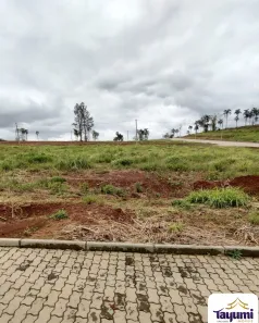 Lote/Terreno à venda, 330m² no Country, Santa Cruz do Sul