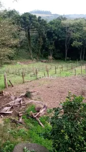 Fazenda/Sítio com 2 Quartos à venda, 516m² no Cascata, Porto Alegre
